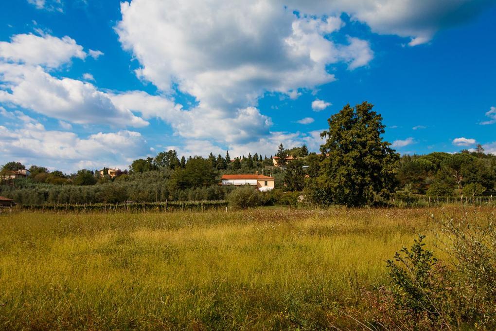 Agriturismo Terre Di Leonardo Bed and Breakfast Βίντσι Εξωτερικό φωτογραφία